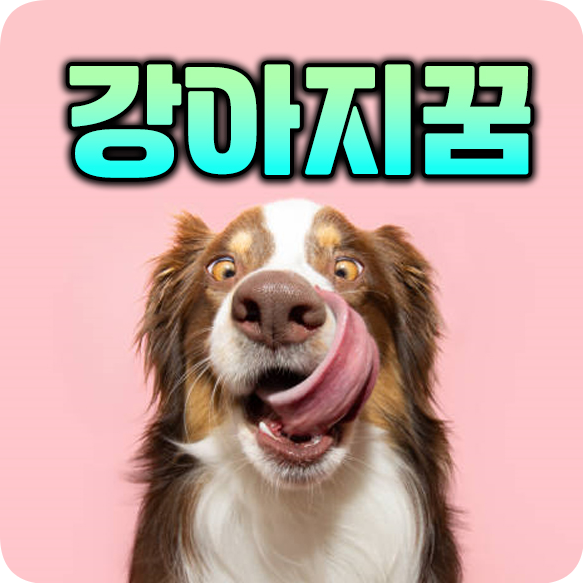 강아지꿈 해몽 강아지 나오는 꿈 새끼 강아지 꿈