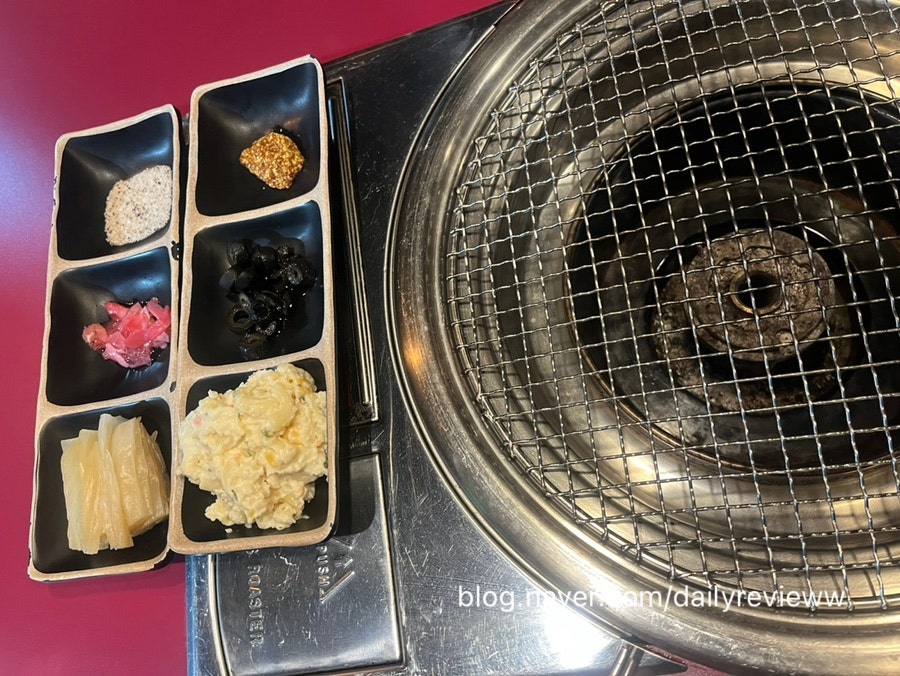 양선생 사진 1