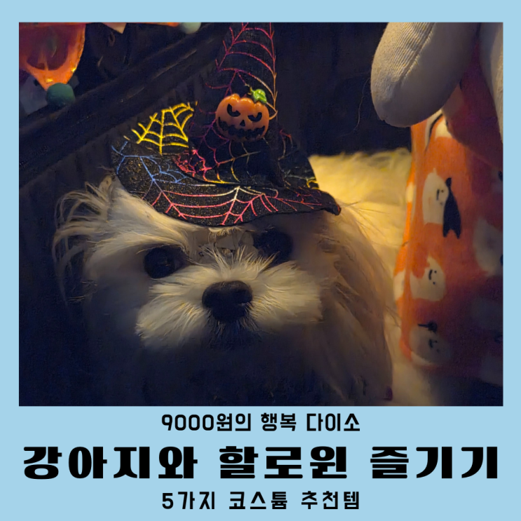  다이소 강아지 할로윈 코스튬 소품 5가지 (9000원)