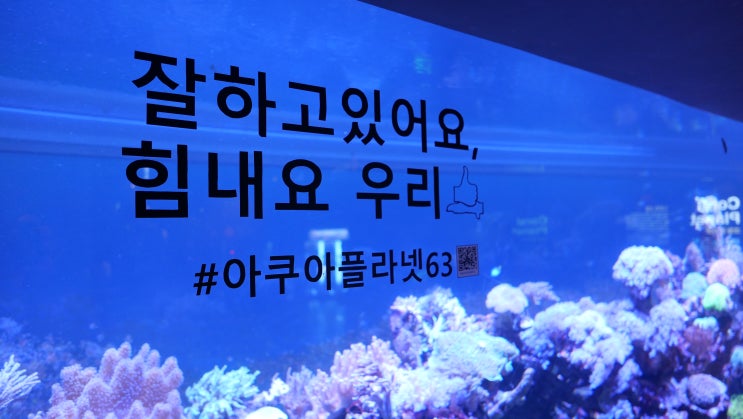 가을야구 한국시리즈 <b>한화 준우승</b>해도 할인 & 이벤트 할 만한... 