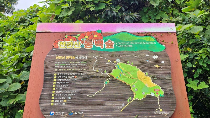 사진 2