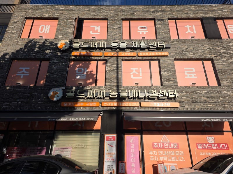 사진 2