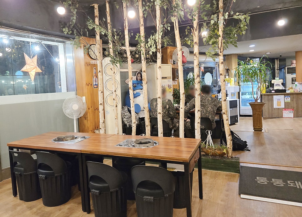 통통돼지 사진 5