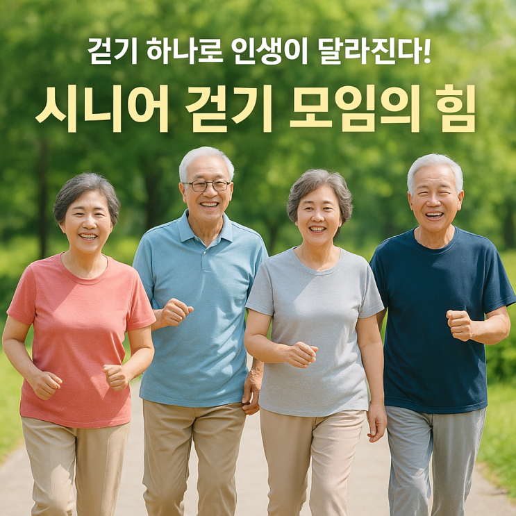 ️하루 30분, 함께 걸으면 젊어집니다! 시니어 걷기 모임 참여의 놀라운 장점
