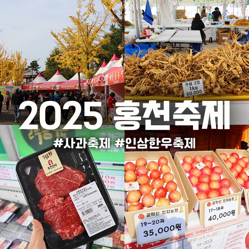 강원도 홍천 사과 인삼 한우 축제 2025 먹거리 가격 리뷰 가볼만한곳