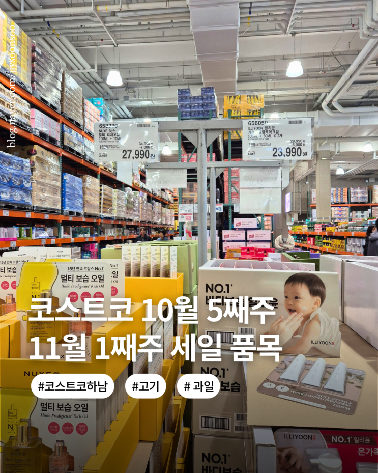  코스트코   11월 첫째주 둘째주 할인 상품세일 품목 11월 9일까지 추가 할인 품목 추천템까지
