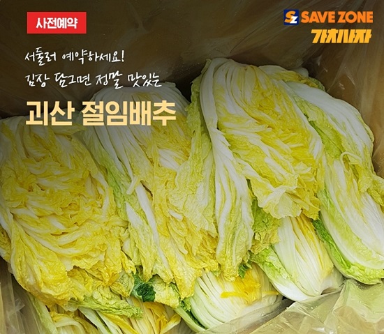  “김장비용 반값? 2025년 배추 가격 완전정리!”
