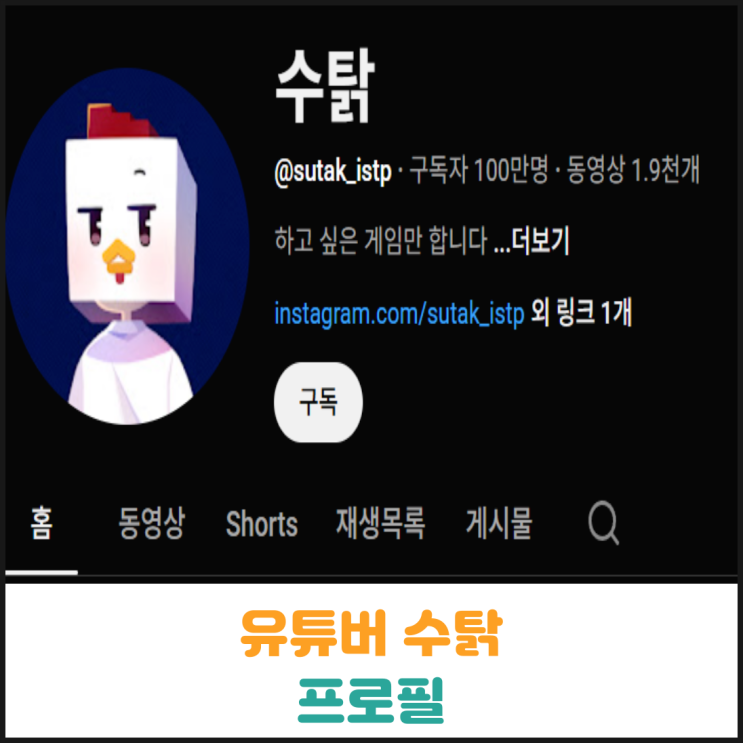  유튜버 수탉 프로필