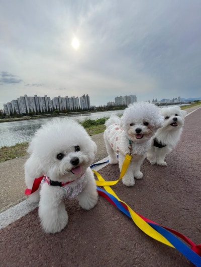 사진 5