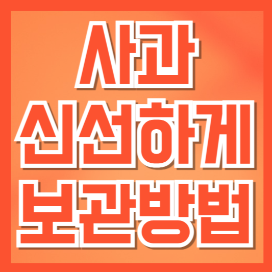  사과 신선하게 오래 보관하는 확실한 방법 – 냉장, 실온, 깎은 사과까지!