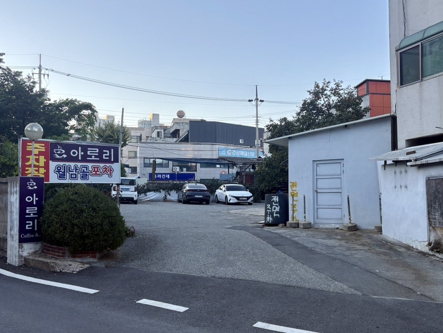 아로리 사진 2