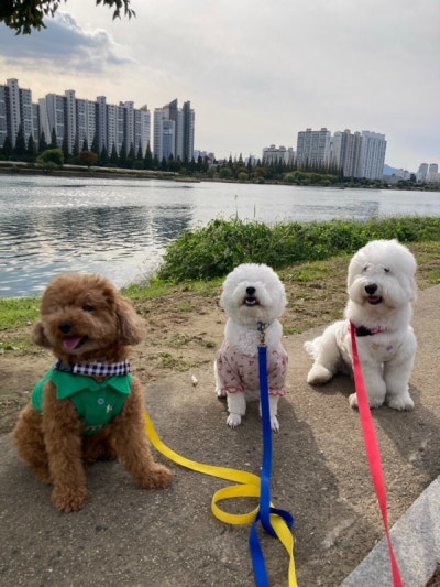 사진 4