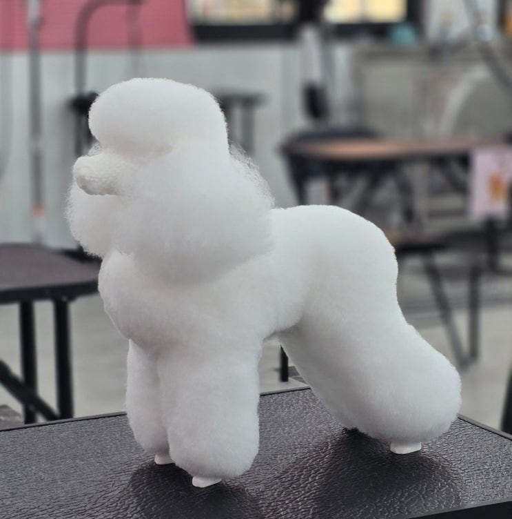  중흥동애견미용학원, 반려동물 산업의 성장과 함께 주목받는 전문 교육의 현장