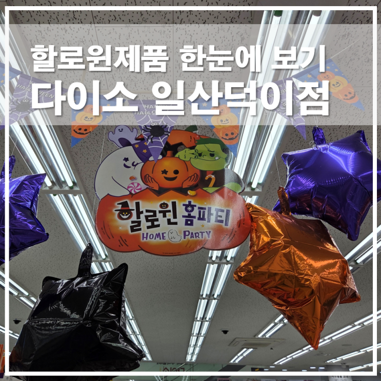  다이소 일산덕이점 할로윈 코스튬의상 망토 장식소품까지 한눈에