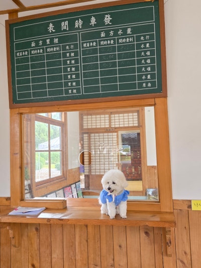 사진 5