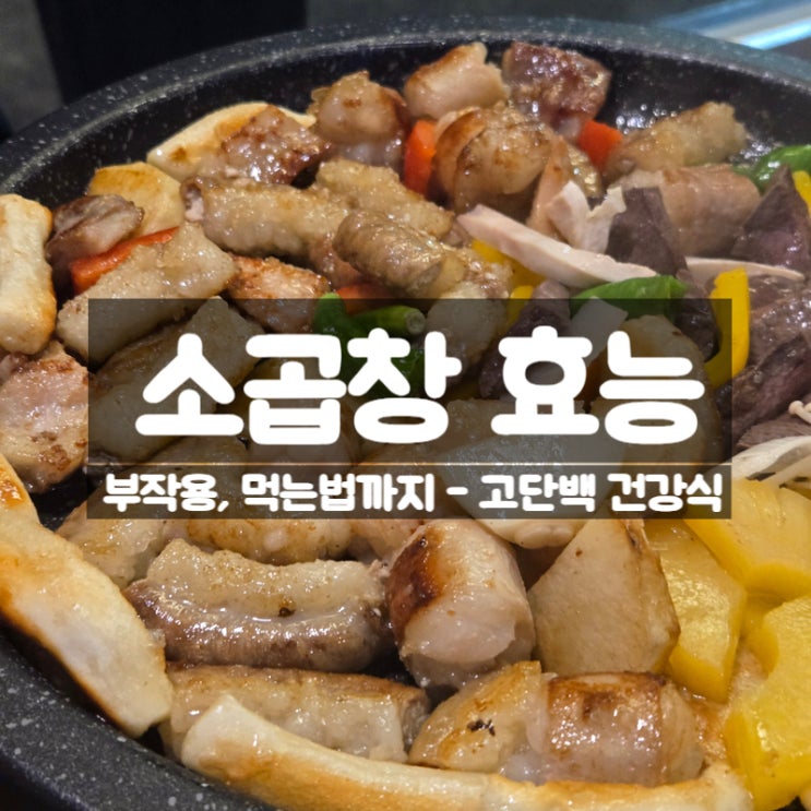  한우곱창 소곱창 효능 부작용 먹는법 – 단백질은 풍부하지만 콜레스테롤 주의