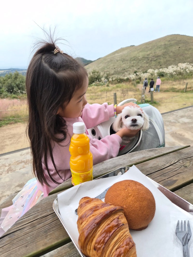 [제주도카페] 새별오름 인근 핑크뮬리 뷰가 멋진 대형카페 새빌