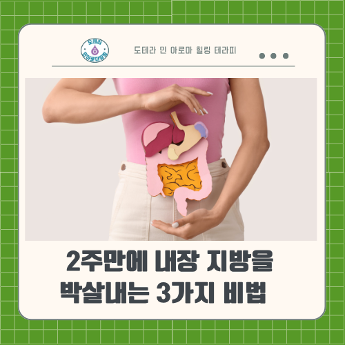  뱃살이 진짜 안 빠지는 이유? 2주 만에 내장 지방 박살 내는 3가지 비법 중  식단. 운동방법 알아보기