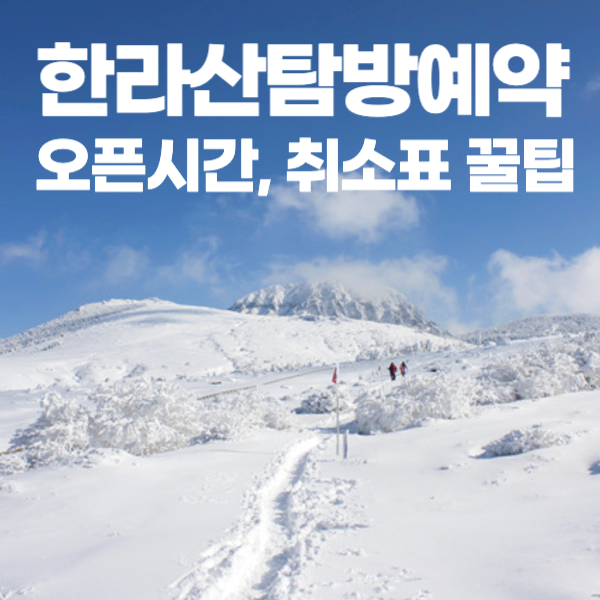 한라산 탐방 예약 오픈 시간, 취소표