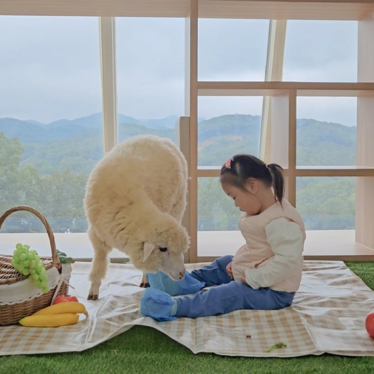  증평 벨포레목장 입장료 양몰이, 아이랑 가볼만한곳