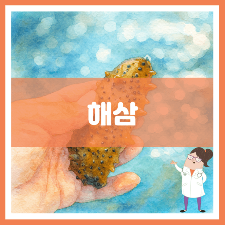  해삼 효능 부작용 고르는 방법