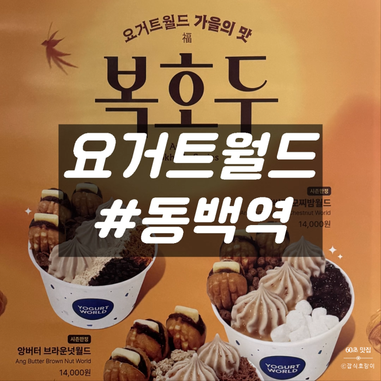  용인동백역디저트 요거트월드 복호두 콜라보 신메뉴 후기