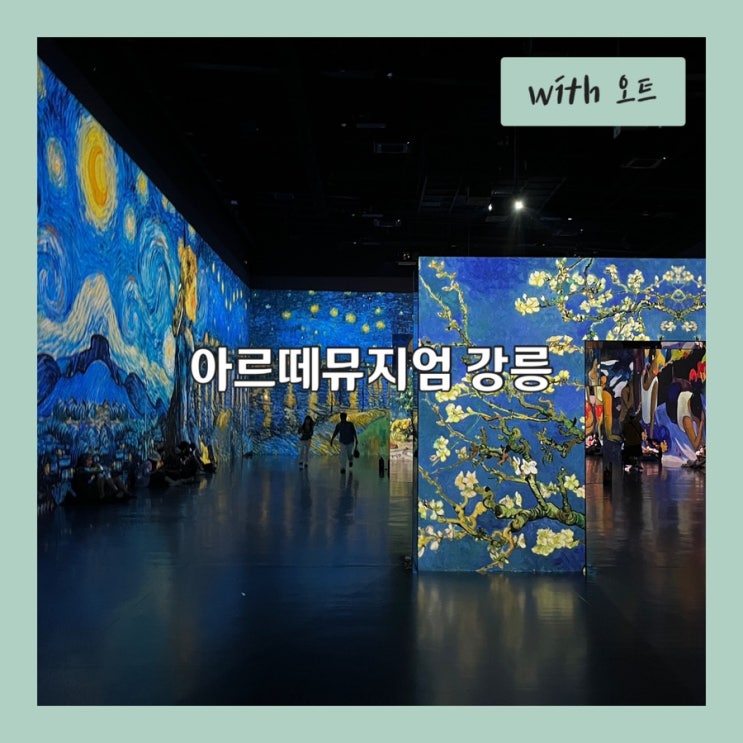  강릉 필수 여행 코스, 몰입형 전시 아르떼뮤지엄 강릉