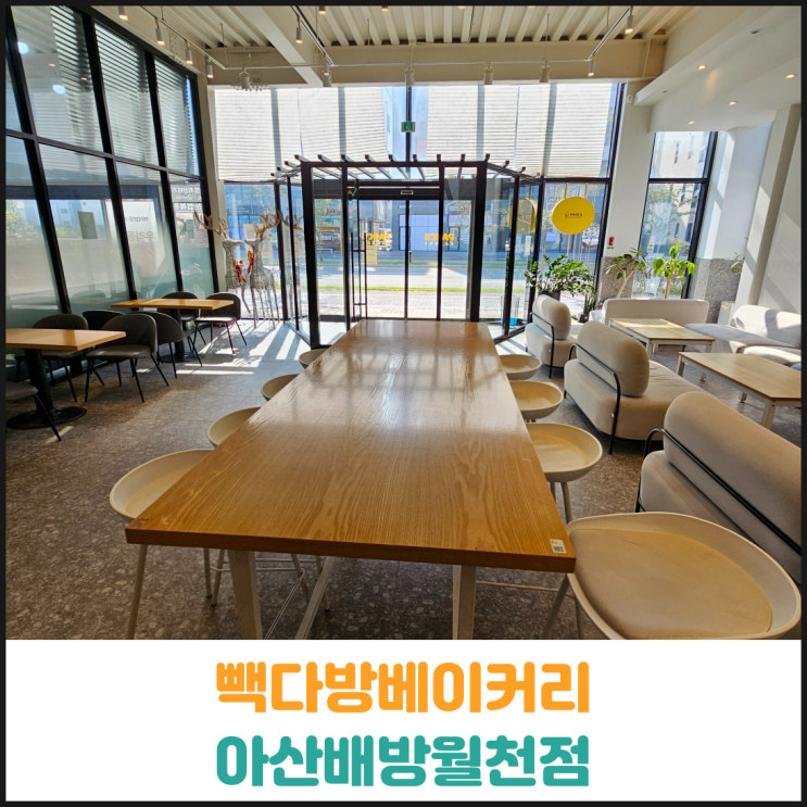  빽다방베이커리 블루베리요거트스무디 후기