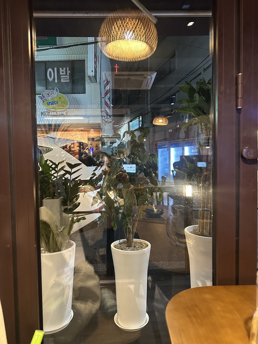 요온 사진 2