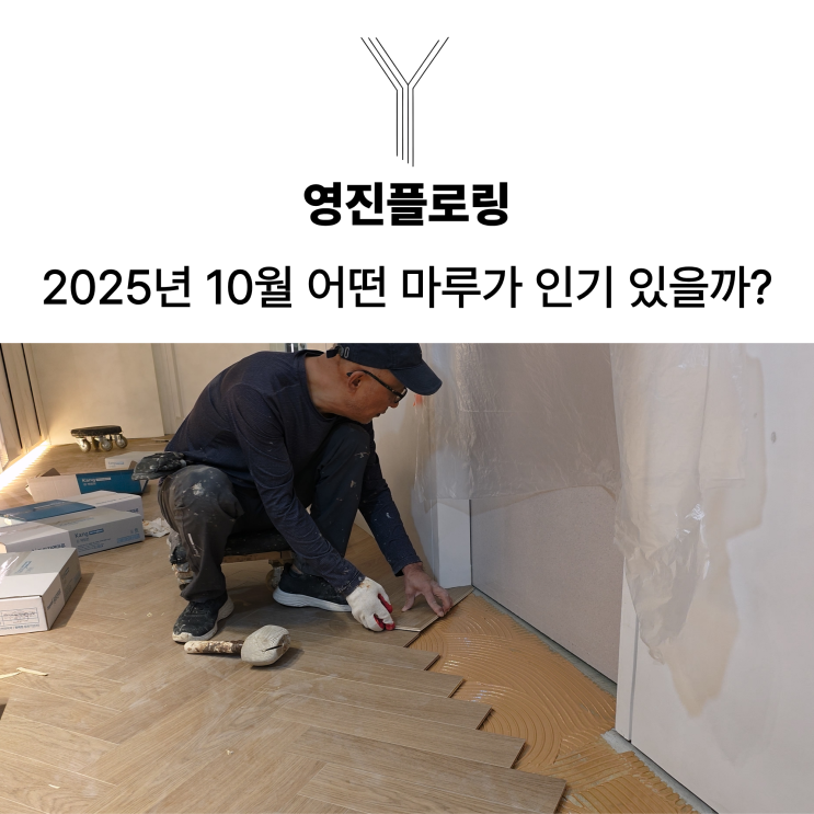  2025년 10월 어떤 마루가 인기가 있었을까요?