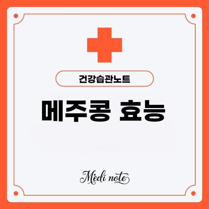 메주콩 효능 부작용 똑똑하게 섭취하는 법