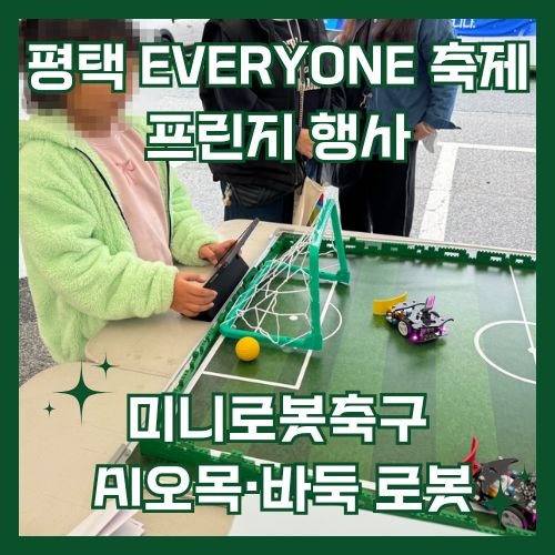 프린지 사진 2