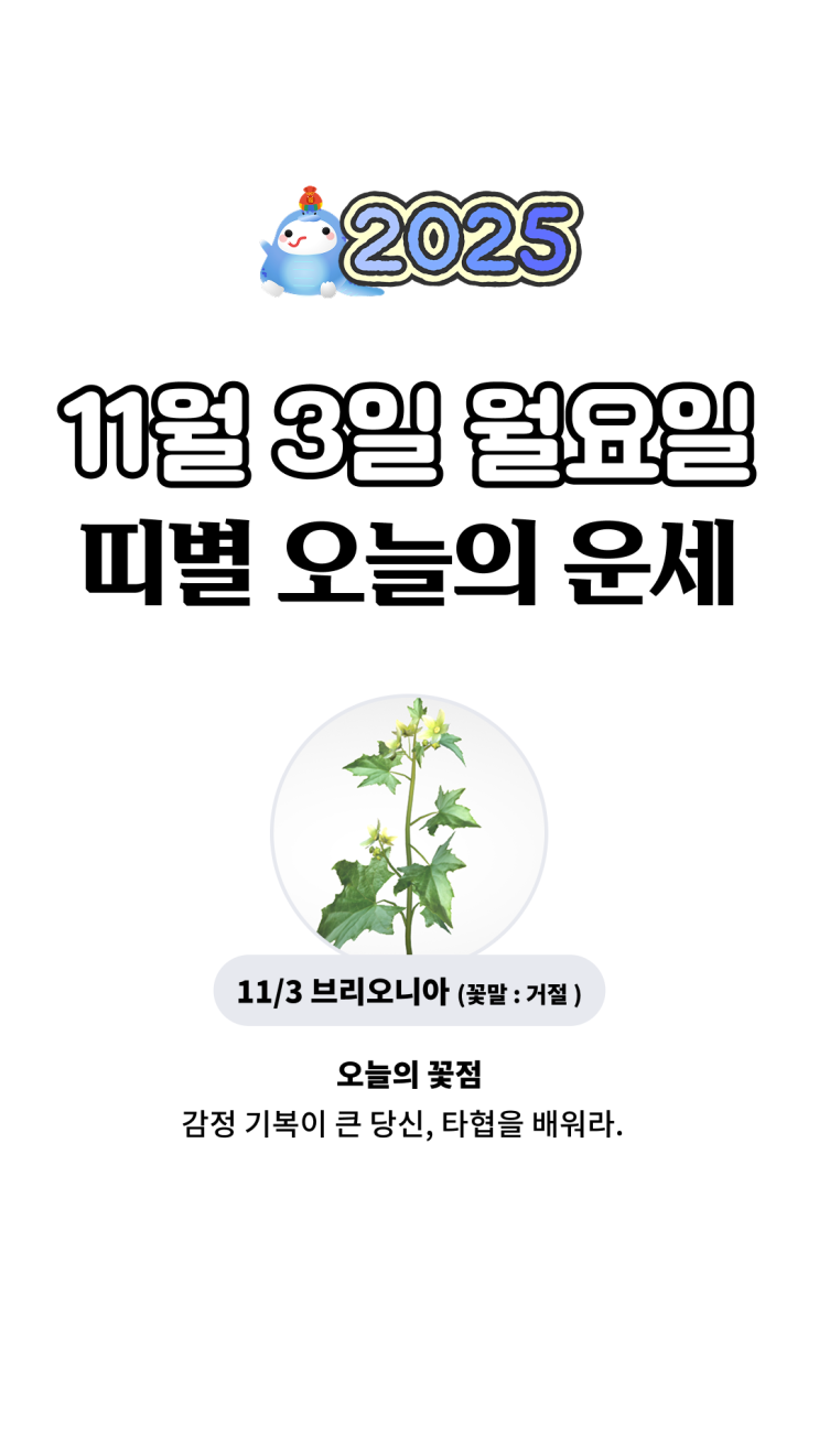 신통 2025년 11월 03일 띠별 <b>오늘의 운세</b>