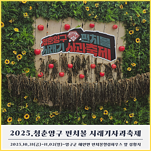 2025 청춘양구 펀치볼 시래기사과축제 일정 프로그램 공연 라인업