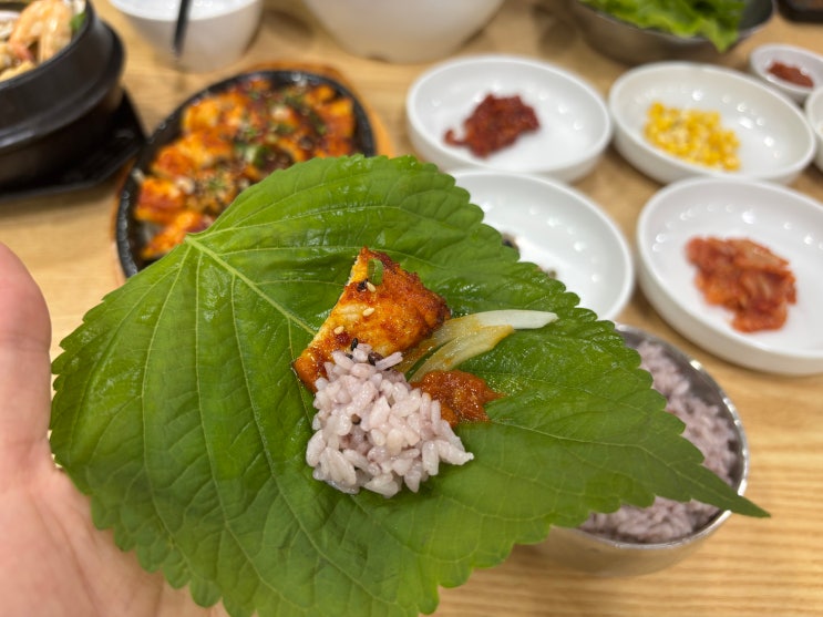  제주 함덕 맛집 특별한 메뉴 현지인맛집 함덕고갈치 추천