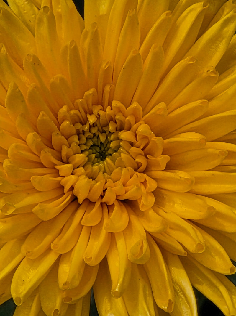 정책지식 2025.10.31. : 네이버 블로그