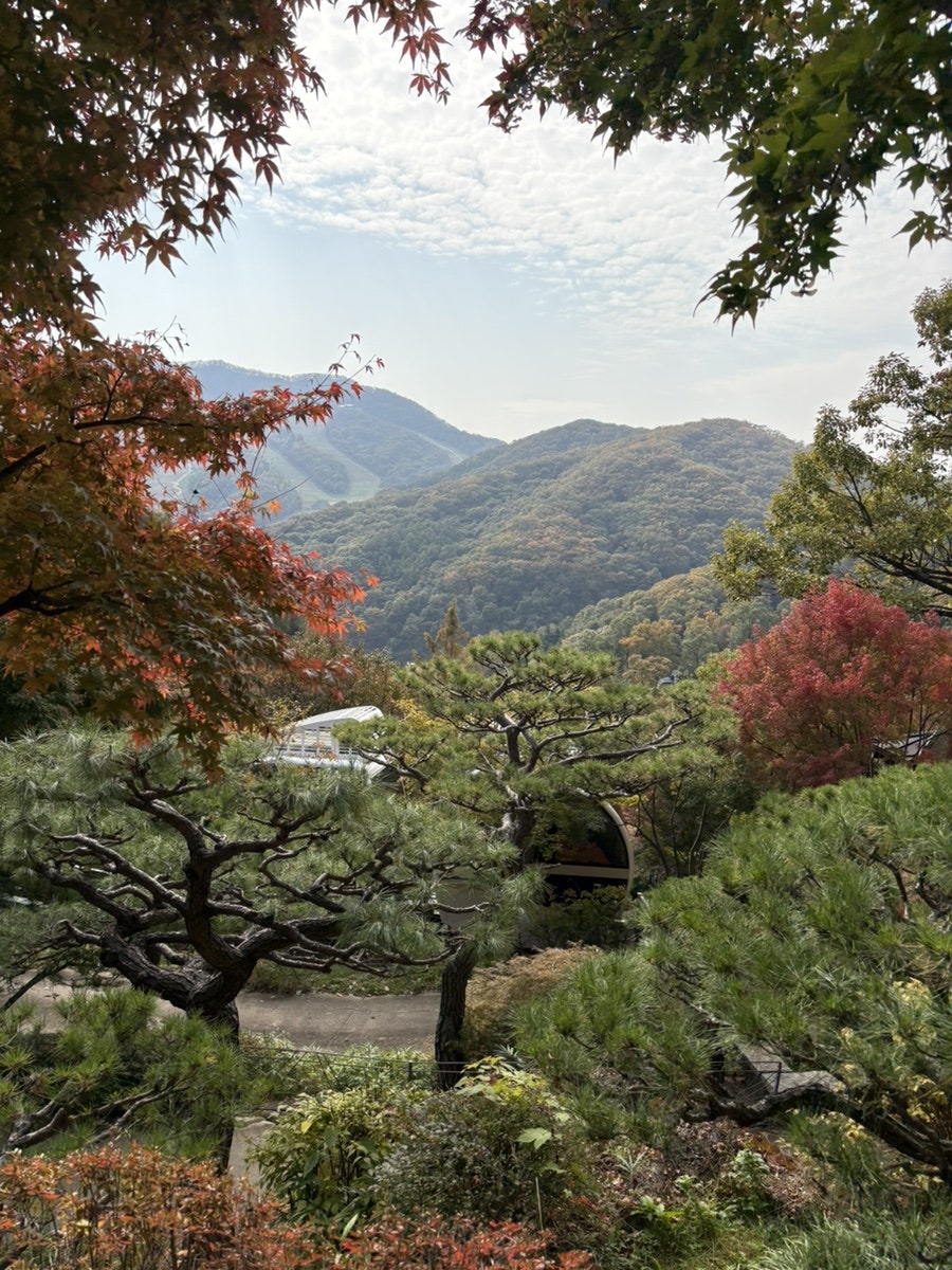 심봤다두루치기 사진 5