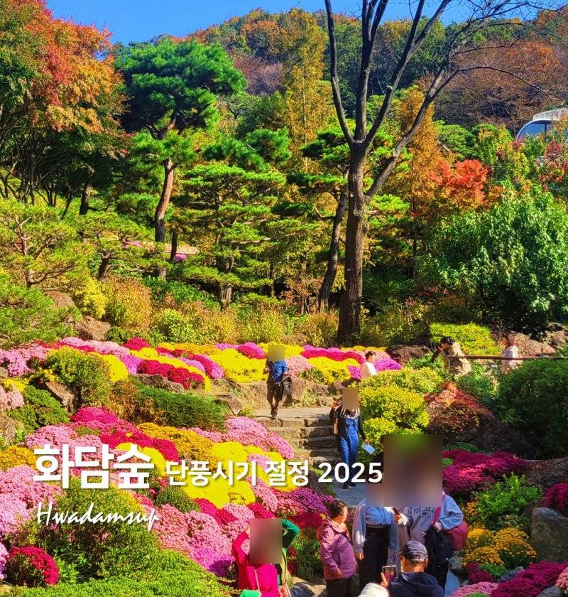 2025 경기도광주화담숲 단풍시기 절정? 입장료 예약 주차 꿀팁