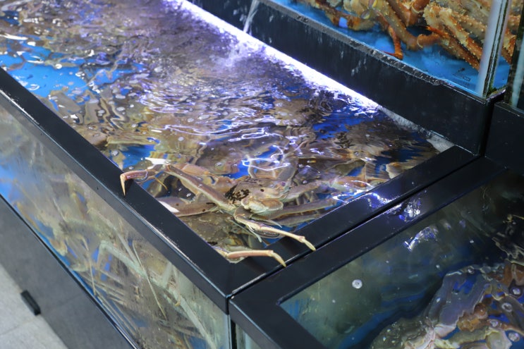  소노벨 천안 근처 맛집 대게 2마리 먹고 나서 찐후기
