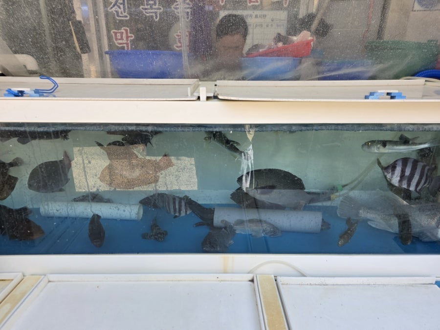 간월도횟집 사진 2