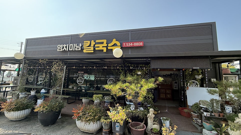 염치미남칼국수 사진 2