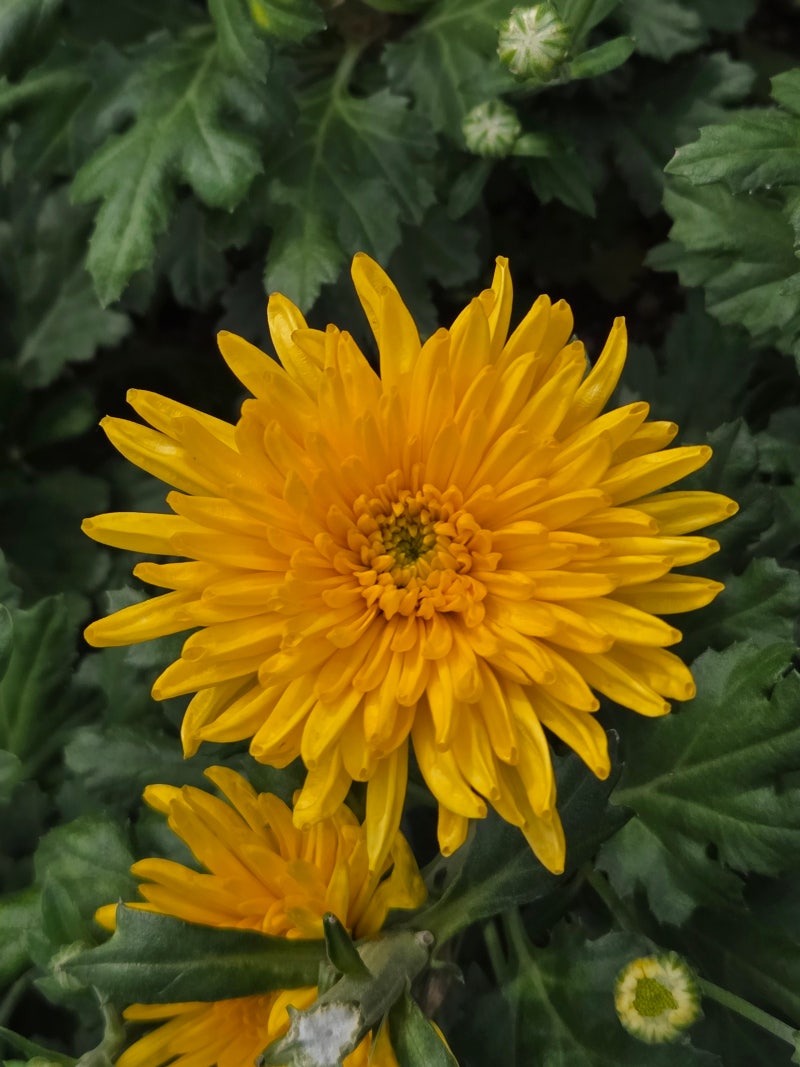 정책지식 2025.10.31. : 네이버 블로그