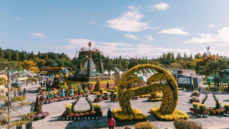 익산//2025 천만송이국화축제!!//가을 향기가득한 국화꽃축제!!