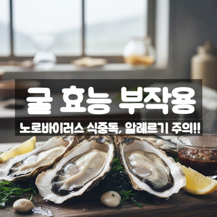  굴 효능 부작용 먹는법 - 노로바이러스 식중독 알레르기 주의하세요