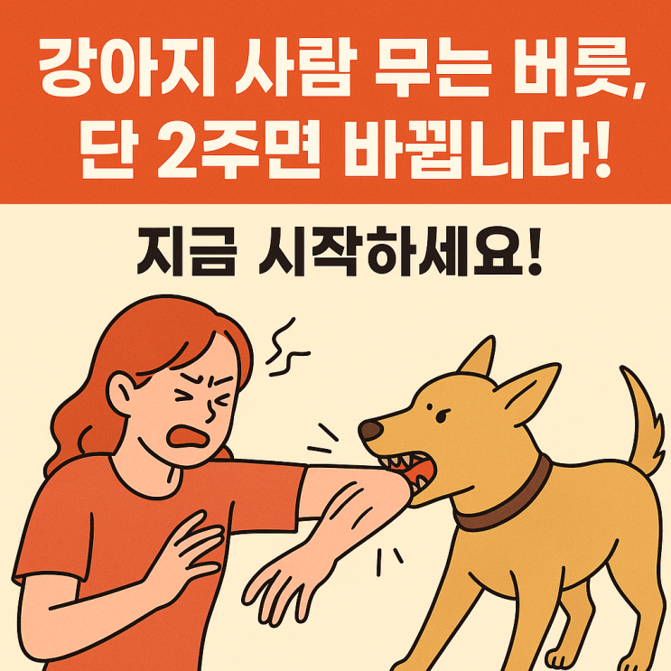   단 2주면 달라진다! 강아지 사람 무는 버릇 교정법