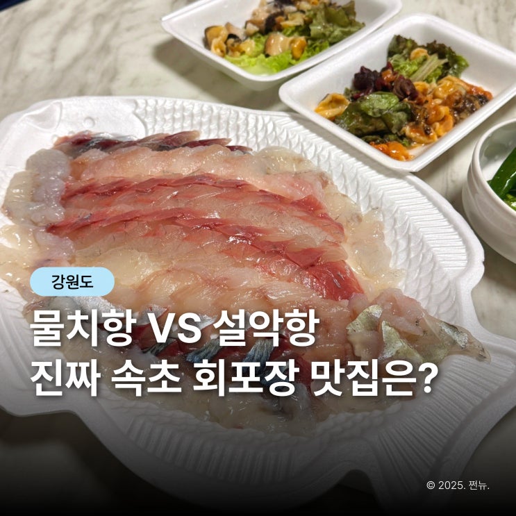  "속초 회센터 바가지일까?" 직접 가본 설악항 vs 물치항 비교해 봤어요