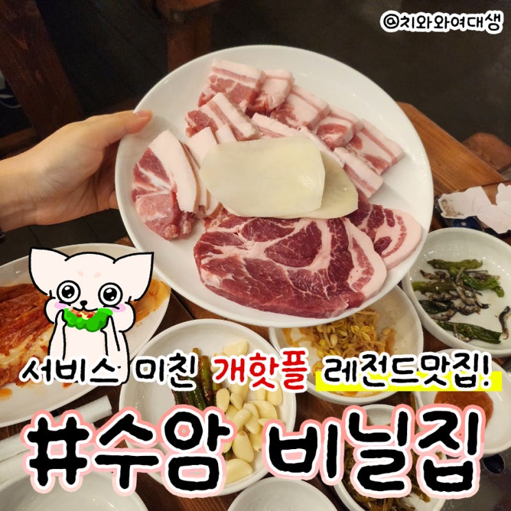  울산 수암동 맛집 고기집 비닐집 인기 핫플 웨이팅 후기