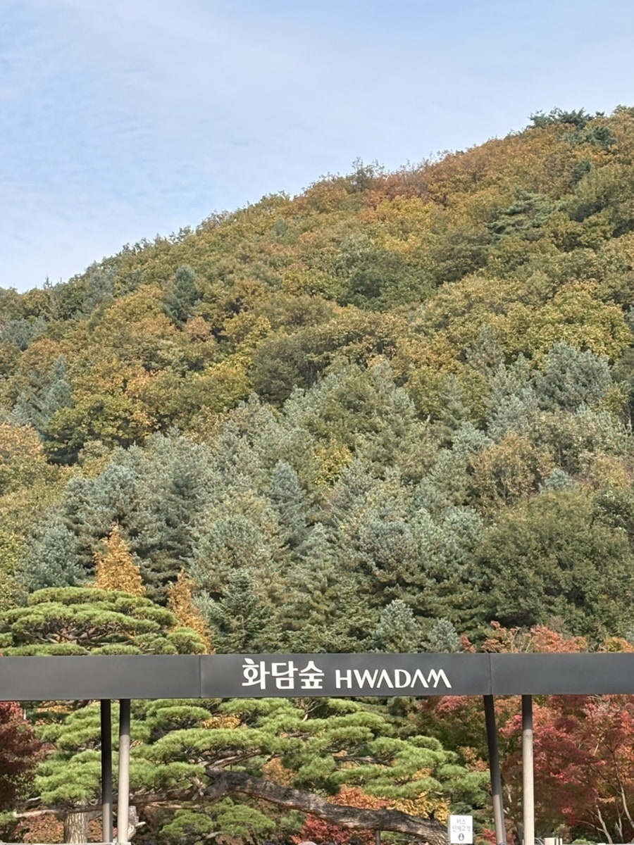 심봤다두루치기 사진 1