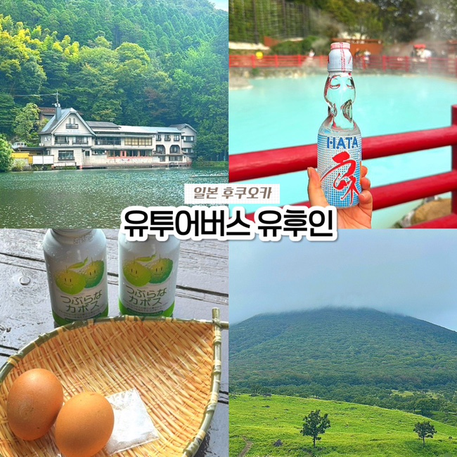  일본 후쿠오카 얼리 유후인 버스투어, 유투어버스 다자이후 벳푸 당일치기 내돈내산 후기