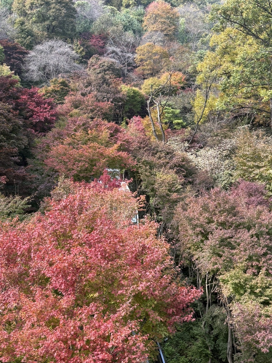 심봤다두루치기 사진 3